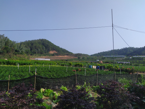 論深圳農家樂九龍莊園的發(fā)展前景