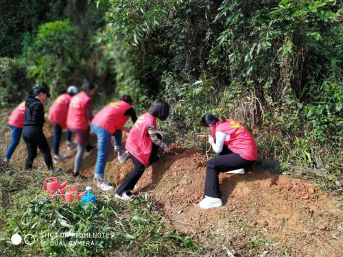 我與九龍生態(tài)園有個春天的約會——植樹